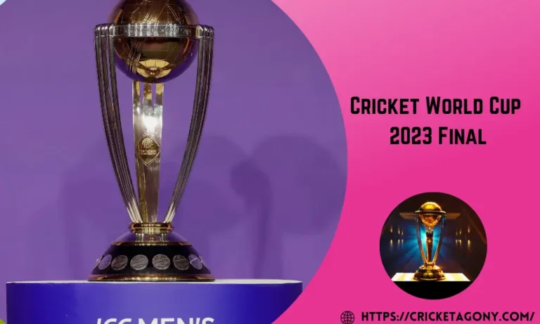 ICC Cricket World Cup 2023 Final Match in India